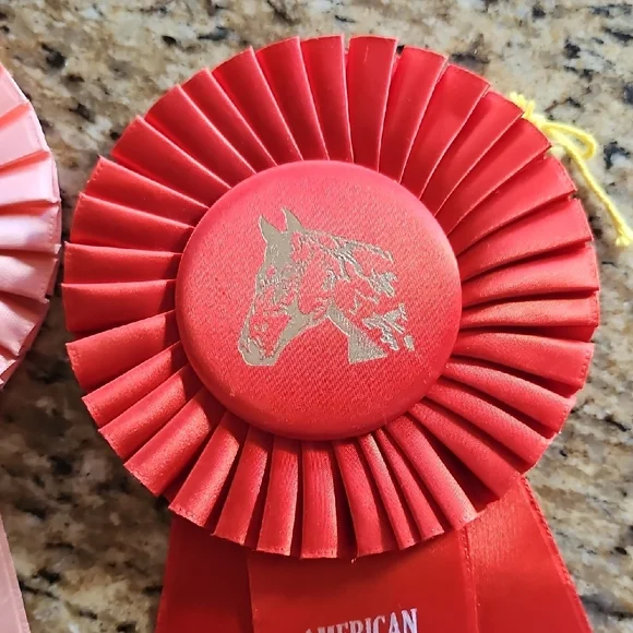 3 Vintage 1965 American Saddle Bred Tennessee Walker horse show rosettes ribbons - Picture 5 of 14
